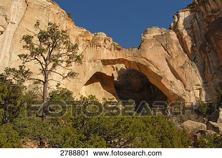 Stock Image - Trees in front of natural arch, Facade of store, El Malpais National Monument, New Mexico, USA . Fotosearch