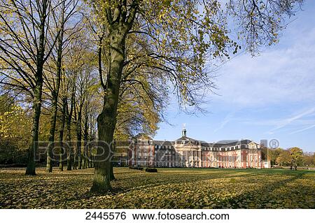 Trees in front of university building, Munster, North Rhine-Westphalia, Germany View Large Photo Image Stock Photograph - Trees in front of university building, Munster, North Rhine-Westphalia, Germany . Fotosearch