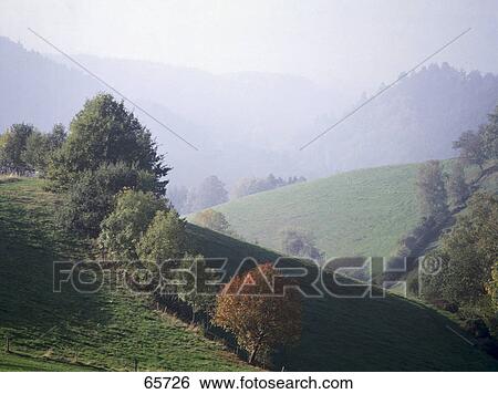 Stock Photograph - Trees on hills, Black Forest, Germany . Fotosearch
