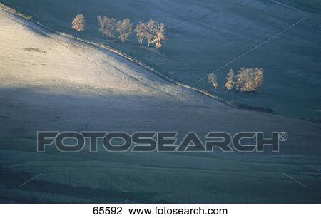 Trees on landscape, Tuscany, Italy View Large Photo Image Stock Image - Trees on landscape, Tuscany, Italy . Fotosearch