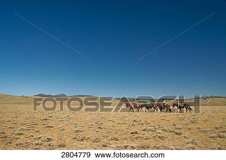 Two people riding horses in desert, Great Divide Basin, Wyoming, USA View Large Photo Image Stock Photo - Two people riding horses in desert, Great Divide Basin, Wyoming, USA . Fotosearch
