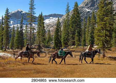 Two people riding horses in field, Weminuche Wilderness, Colorado, USA View Large Photo Image Stock Photography - Two people riding horses in field, Weminuche Wilderness, Colorado, USA . Fotosearch