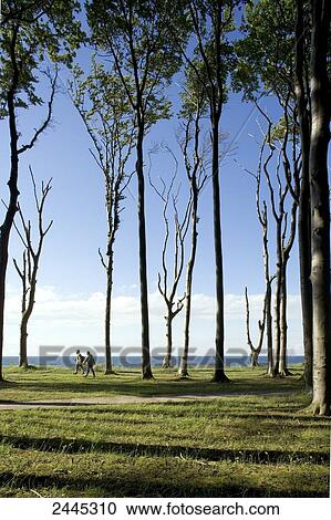 Two people strolling in field, Nienhagen, Mecklenburg-Western Pomerania, Germany View Large Photo Image Stock Image - Two people strolling in field, Nienhagen, Mecklenburg-Western Pomerania, Germany . Fotosearch