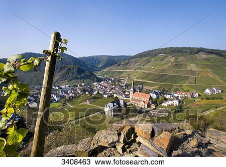 Stock Image - View of Mayschoss, grapevine in the foreground, Rhineland-Palatinate, Germany, elevated view . Fotosearch