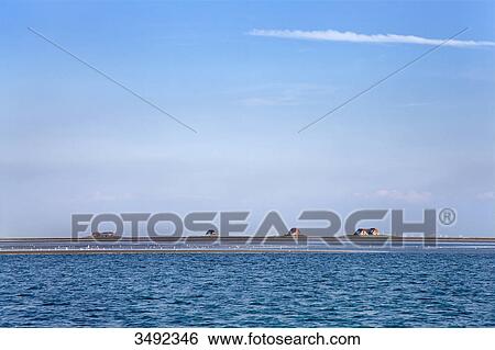 Stock Photograph - View of terps, Hallig Langeness, Nordfriesland, Schleswig-Holstein, Germany . Fotosearch