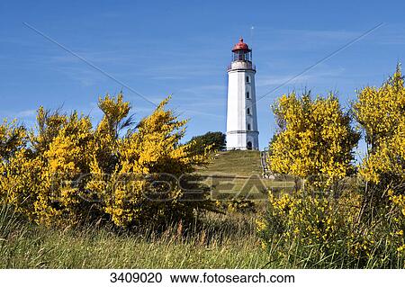 View of the Dornbusch Lighthouse, Hiddensee, Germany View Large Photo Image Stock Image - View of the Dornbusch Lighthouse, Hiddensee, Germany . Fotosearch