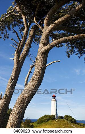 Stock Image - View of the Dornbusch Lighthouse, Hiddensee, Germany, low angle view . Fotosearch