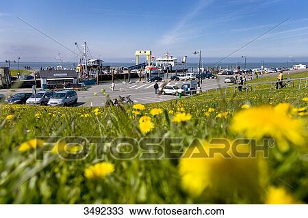 View of the harbour in Strucklahnungshoern, Nordstrand, Schleswig-Holstein, Germany View Large Photo Image Stock Image - View of the harbour in Strucklahnungshoern, Nordstrand, Schleswig-Holstein, Germany . Fotosearch