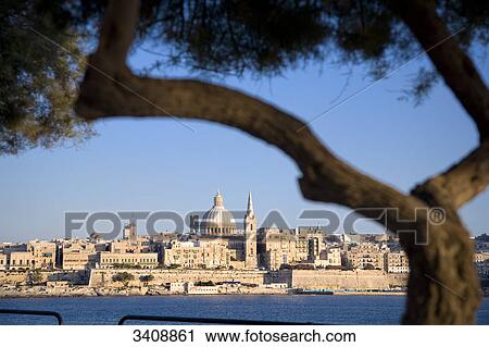 Stock Image - View of Valletta, branch in the foreground, Malta . Fotosearch