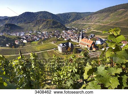 Vineyard, Mayschoss, Rhineland-Palatinate, Germany, elevated view View Large Photo Image Stock Image - Vineyard, Mayschoss, Rhineland-Palatinate, Germany, elevated view . Fotosearch