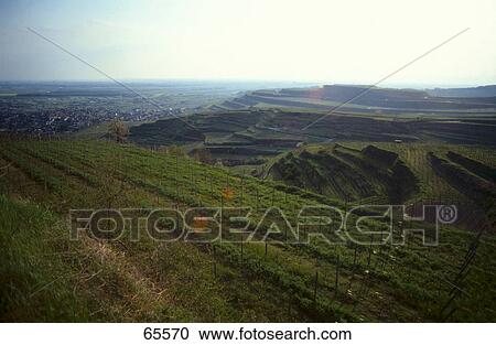 Vineyard on a hill with a village in the background, Baden-Wurttemberg, Germany View Large Photo Image Stock Image - Vineyard on a hill with a village in the background, Baden-Wurttemberg, Germany . Fotosearch