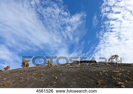 Stock Photograph - Volcano San Antonio, Fuencaliente, La Palma, Canary Islands, Spain . Fotosearch