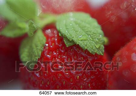 Stock Photo - Water drops on strawberry . Fotosearch