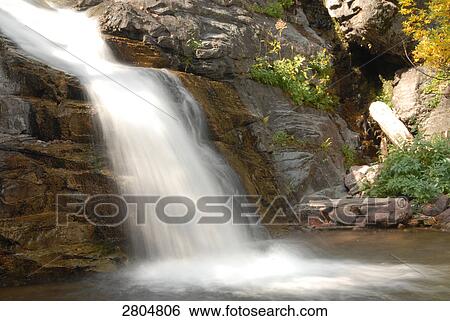 Waterfall in forest, Glacier National Park, Montana, USA View Large Photo Image Stock Photograph - Waterfall in forest, Glacier National Park, Montana, USA . Fotosearch