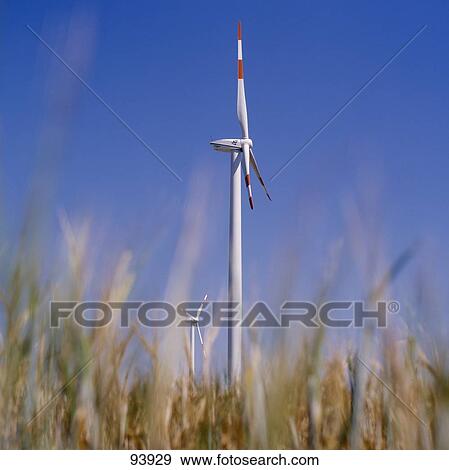 Wind turbines in wheat field View Large Photo Image Stock Photo - Wind turbines in wheat field . Fotosearch
