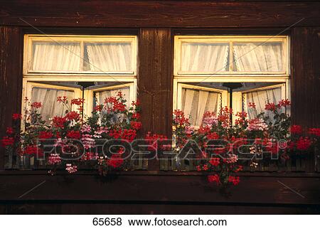 Window box of house, Black Forest, Baden-Wuerttemberg, Germany View Large Photo Image Stock Photo - Window box of house, Black Forest, Baden-Wuerttemberg, Germany . Fotosearch