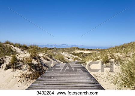 Wooden path across dunes near Norddorf, Amrum Island, Germany View Large Photo Image Picture - Wooden path across dunes near Norddorf, Amrum Island, Germany . Fotosearch