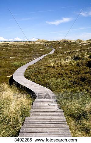 Stock Photography - Wooden path across dunes near Norddorf, Amrum Island, Germany, elevated view . Fotosearch