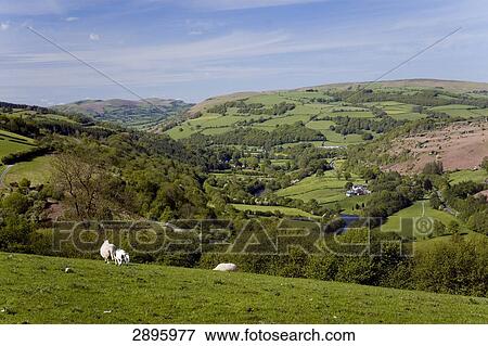 Wye Valley, Powys, Mid Wales, UK View Large Photo Image Stock Photo - Wye Valley, Powys, Mid Wales, UK . Fotosearch
