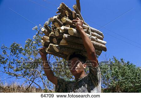 Stock Photo - Young man carrying firewood's on his head, Nicaragua . Fotosearch