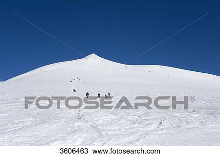 Ascent to Grossvenediger, Alps, Austria View Large Photo Image Stock Image - Ascent to Grossvenediger, Alps, Austria . Fotosearch