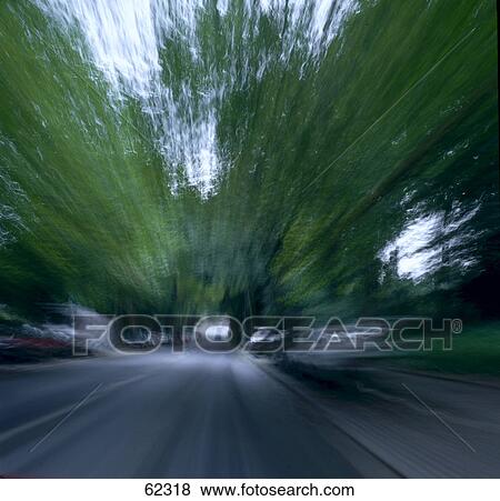 Blurred view of trees along road View Large Photo Image Stock Photo - Blurred view of trees along road . Fotosearch
