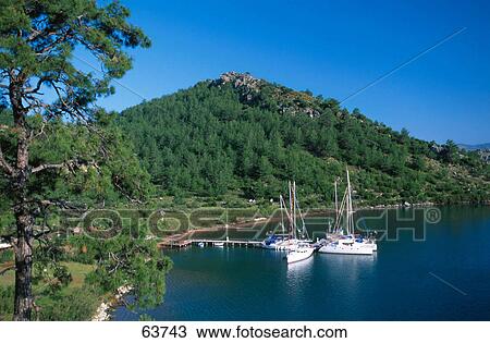 Boats moored at harbor, Mugla, Turkey View Large Photo Image Stock Image - Boats moored at harbor, Mugla, Turkey . Fotosearch