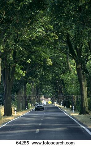 Car on road, Brandenburg, Germany View Large Photo Image Stock Photography - Car on road, Brandenburg, Germany . Fotosearch