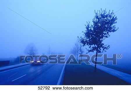 Cars on road in foggy night, Netherlands  View Large Photo Image Stock Image - Cars on road in foggy night, Netherlands . Fotosearch