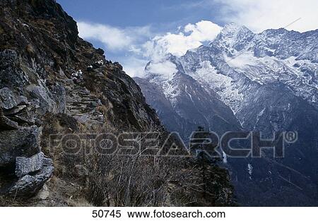 Cattle walking on mountain, Khumbu, Nepal View Large Photo Image Stock Photography - Cattle walking on mountain, Khumbu, Nepal . Fotosearch