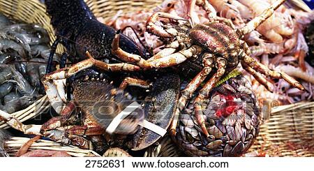 Close-up of assorted seafood in a basket View Large Photo Image Stock Image - Close-up of assorted seafood in a basket . Fotosearch