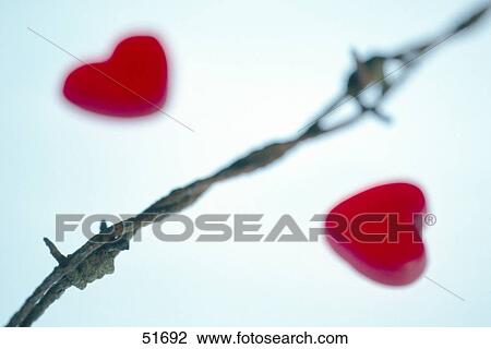 Close-up of barbed wire and two heart shapes View Large Photo Image Stock Image - Close-up of barbed wire and two heart shapes . Fotosearch