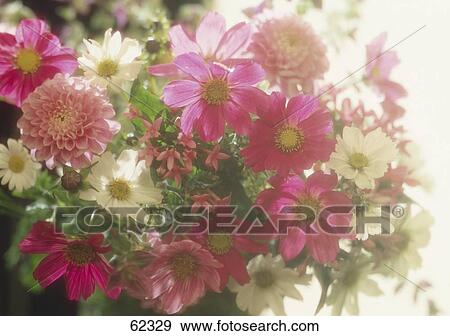 Close-up of bunch of flowers View Large Photo Image Stock Photo - Close-up of bunch of flowers . Fotosearch