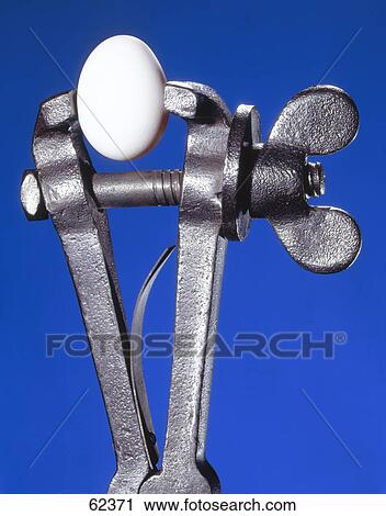 Close-up of egg and clamp View Large Photo Image Stock Image - Close-up of egg and clamp . Fotosearch