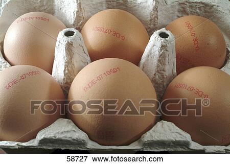Close-up of eggs in egg carton View Large Photo Image Stock Photo - Close-up of eggs in egg carton . Fotosearch
