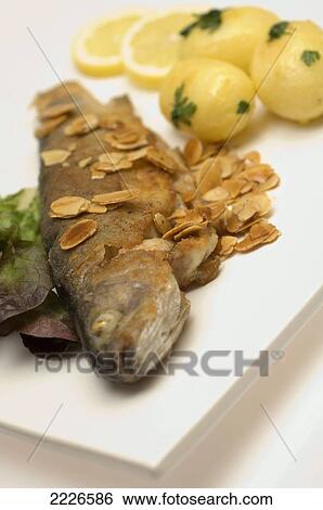 Stock Photograph - Close-up of fried fish and potatoes with slices of lemon on plate . Fotosearch