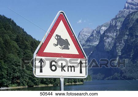Close-up of migration of toad signboard, Switzerland View Large Photo Image Picture - Close-up of migration of toad signboard, Switzerland . Fotosearch