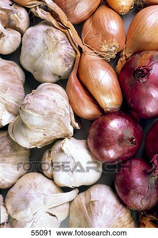 Close-up of onions and garlic  View Large Photo Image Stock Image - Close-up of onions and garlic . Fotosearch