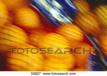 Close-up of oranges in a mesh bag View Large Photo Image Stock Photo - Close-up of oranges in a mesh bag . Fotosearch