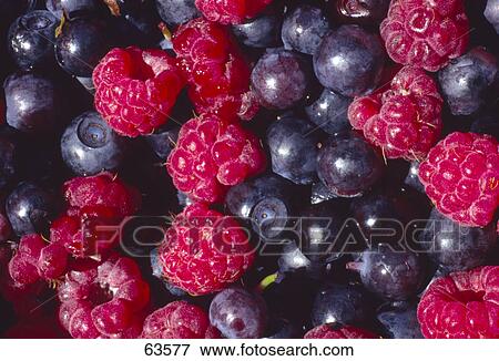 Close-up of raspberries and blueberries View Large Photo Image Stock Photo - Close-up of raspberries and blueberries . Fotosearch