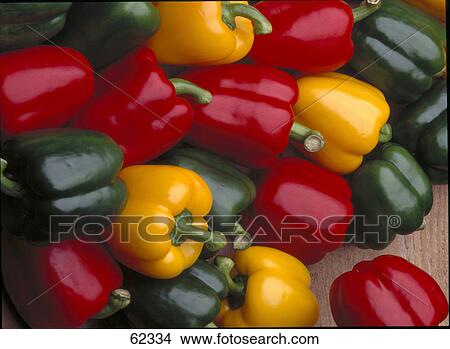 Close-up of red, green and yellow bell peppers View Large Photo Image Picture - Close-up of red, green and yellow bell peppers . Fotosearch