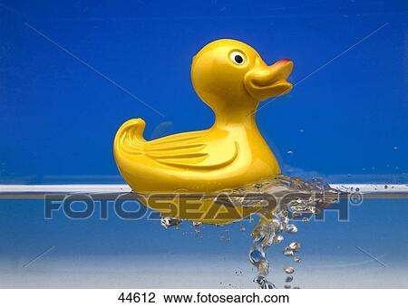 Close-up of rubber duck in water View Large Photo Image Stock Image - Close-up of rubber duck in water . Fotosearch