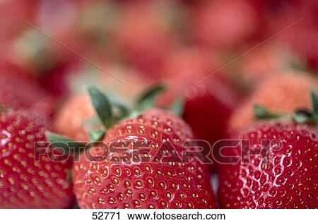 Close-up of strawberries View Large Photo Image Stock Image - Close-up of strawberries . Fotosearch