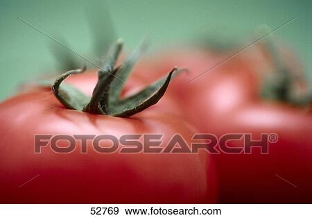 Close-up of tomatoes View Large Photo Image Stock Photo - Close-up of tomatoes . Fotosearch