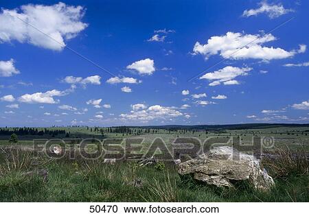 Clouds over landscape, High Fens, Liege, Ardennes, Belgium View Large Photo Image Stock Image - Clouds over landscape, High Fens, Liege, Ardennes, Belgium . Fotosearch