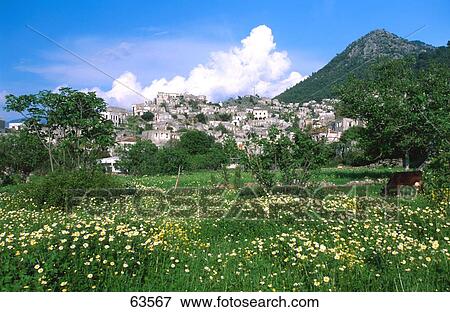Stock Photo - Cow grazing in field in front of town, Turquia, Turkey . Fotosearch