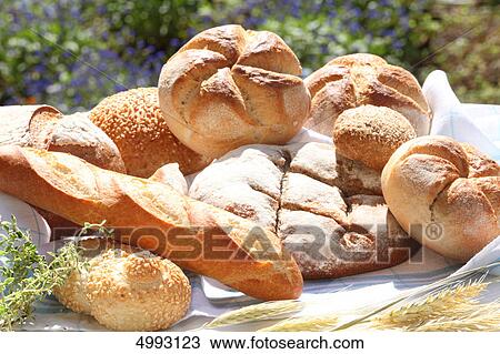 Different sorts of bread in garden View Large Photo Image Stock Image - Different sorts of bread in garden . Fotosearch