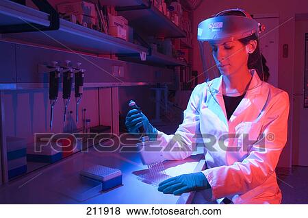 Female scientist using multi-pipette in laboratory View Large Photo Image Stock Photo - Female scientist using multi-pipette in laboratory . Fotosearch