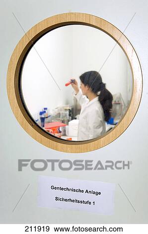 Female scientist working laboratory View Large Photo Image Stock Photo - Female scientist working laboratory . Fotosearch