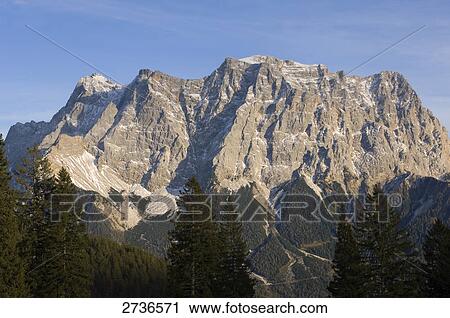 Forest near mountain, Zugspitze, Germany View Large Photo Image Stock Image - Forest near mountain, Zugspitze, Germany . Fotosearch